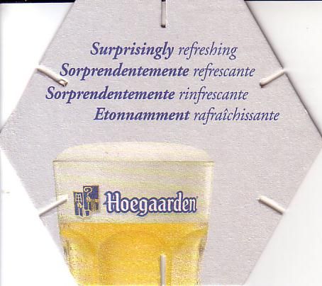 hoegaarden24b.jpg